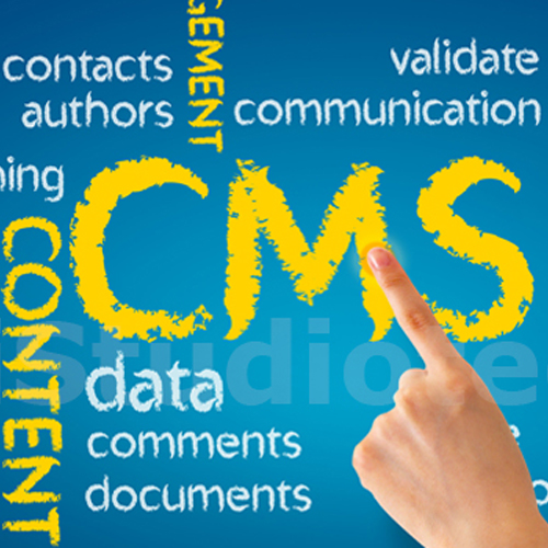 CMS Development Services